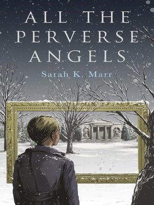 cover image of All the Perverse Angels